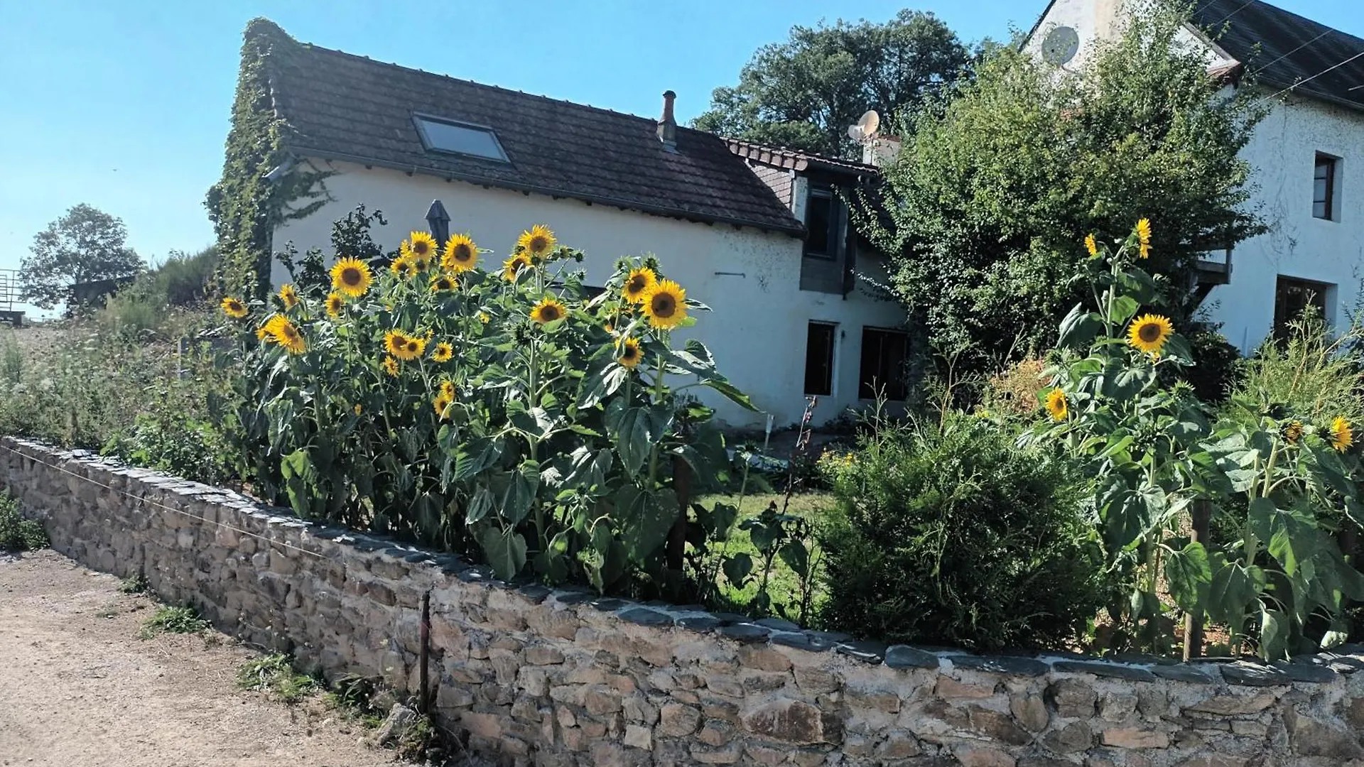 Gite Happy Sun Flower Virlet Holiday home